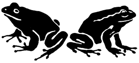 15-kikkers-rug-aan-rug-web 15-kikkers-rug-aan-rug-web