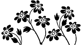 7-bloemetjes-samen-web 7-bloemetjes-samen-web